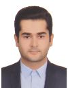 Mohammad Hossein Taghizadeh